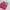 FUNDA TIARA FUCSIA